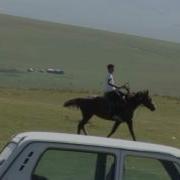 Gurcustanli Azeriyem