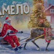 Замело Юля Гаврилина