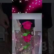 Как Челентано X Йупи Йо