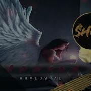 Ahmed Shad Крылья