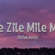 Panama Dance Zile Zile Mile Mile Remix