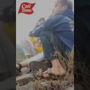 Smp Viral