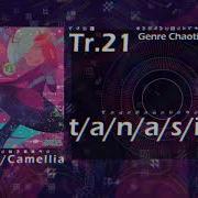 Camellia Tanasinn