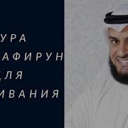 Аль Кафирун Сура Скачать Бесплатно Мр3