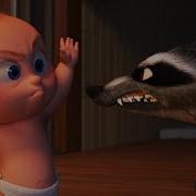 Baby Jack