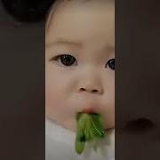 Nnmm