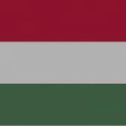 Fairly Oddparents Hungarian Laborfilm