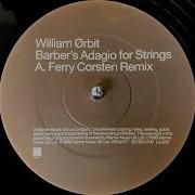 William Orbit Adagio For Strings Ferry Corsten Remix