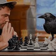 Crow