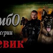 Из Сериала Рембо 2023