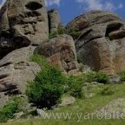 Не Ель В Чернополье