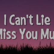 I Can T Lie I Miss You
