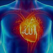 Zikr Allah