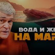 Звезды