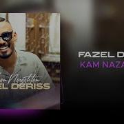 Fazel Deris