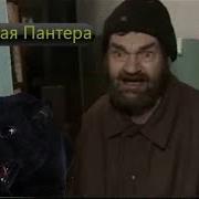 Чёрная Пантера Пародия