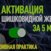 Выявлено Активация Шишковидной Железы За Сорок Пять Минут