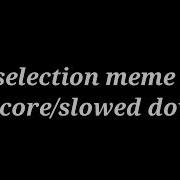 Selection Meme Daycore