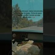 Whatsapp Ucun Maraqli Videolar Statuslar