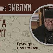 Книга Левит Олег Стеняев