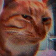 Bye Bye Mewing Phonk