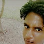 Mere Sasura Ne Baag Lagayo Re Dali Dali Pe Anar Dj Vibration