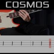 Cosmos Bass