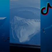 Ocean Tiktok