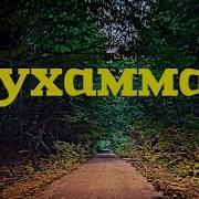 Зэчыр