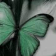 Dj Layla Butterfly
