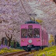 Плейлист Для Перевозки