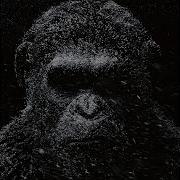 Dark Monkey Music Minimal Techno