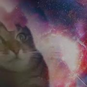 Cat Interstellar