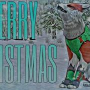 Wildcraft Christmas