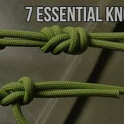Essential 7