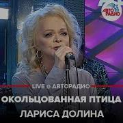 Лариса Долина Окольцованная Птица