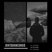 В Хлам Литвиненко