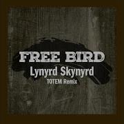 Free Bird Remix