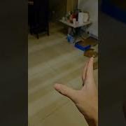 Поиграй Со Мной Прикол