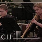 Bwv 147 Chorale Jesus Bleibet Meine Freude