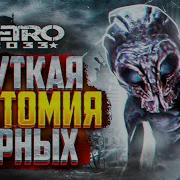 Голоса Черных Из Метро 2033