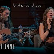Bird S Teardrops