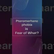 Pteromerhanophobia