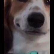Guitar Riff Meme