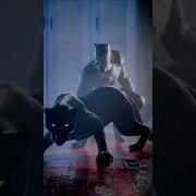 Bleck Panther Tik Tok
