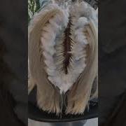 Blonde Growth