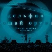 Дельфин Live