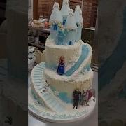 Frozen Cake