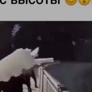 Вот С Таким Звуком Падает Лёд