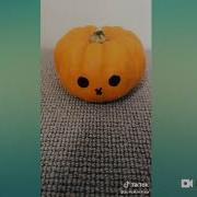 Little Pumpkin Song Tik Tok